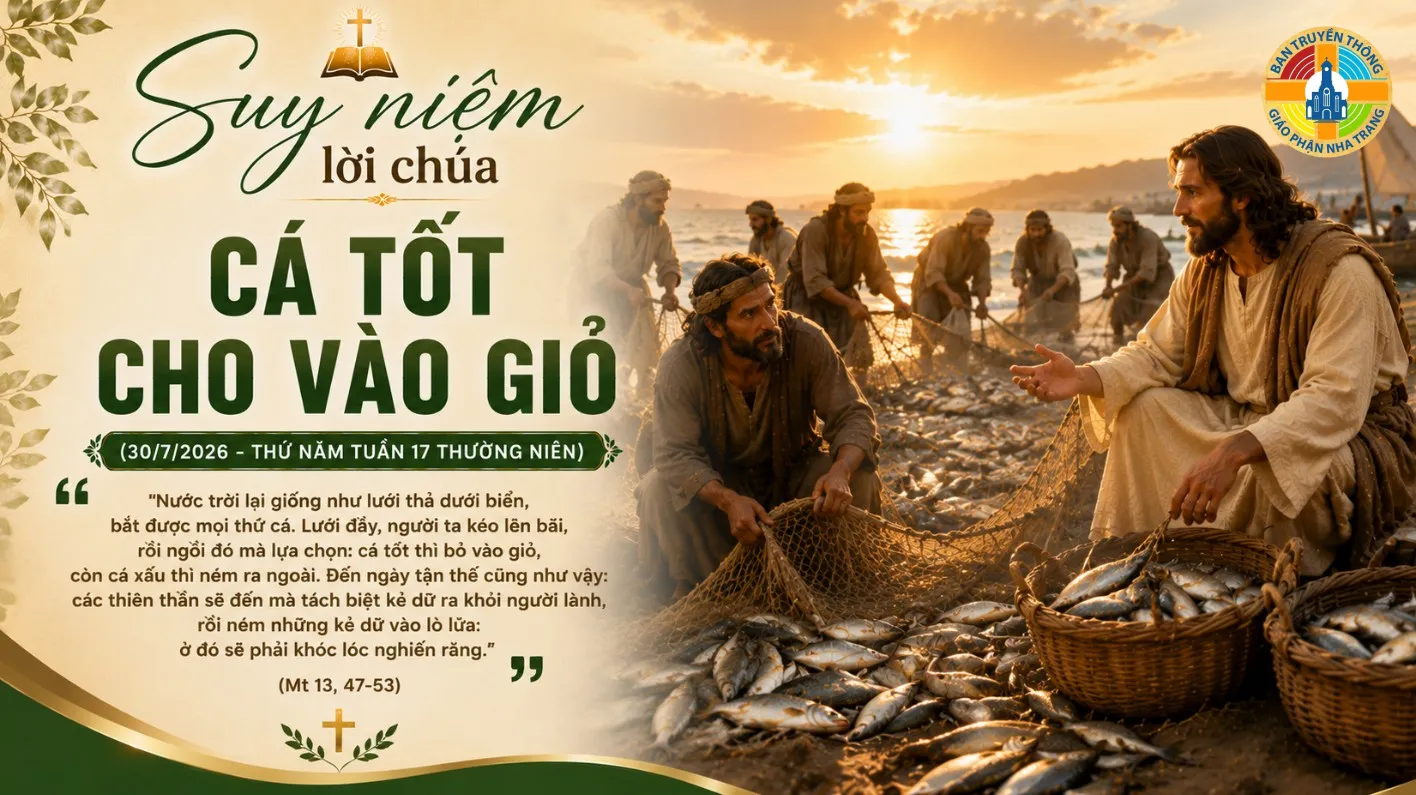 Suy niệm lời Chúa: CÁ TỐT CHO VÀO GIỎ (30/7/2026 - THỨ NĂM TUẦN 17 THƯỜNG NIÊN)